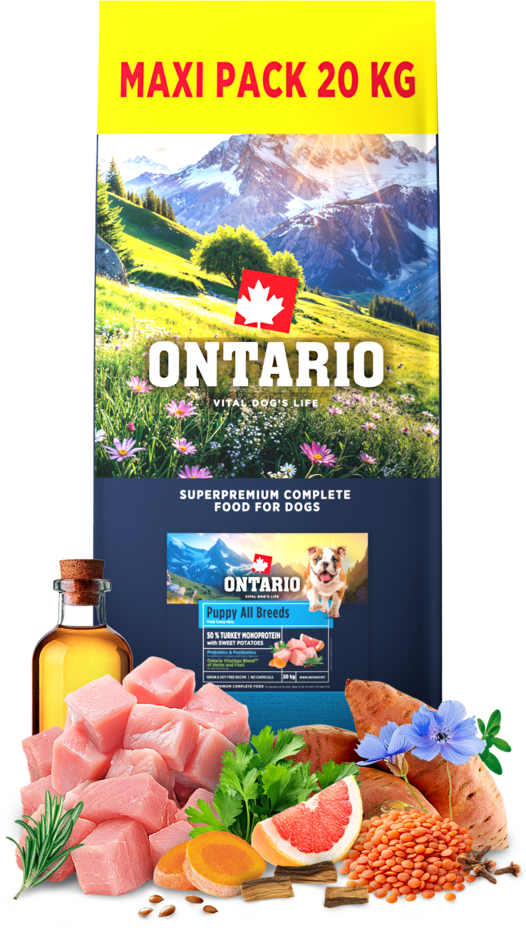 Ontario Puppy&Junior All Breeds Monoprotein Turkey & Sweet Potatoes 20kg