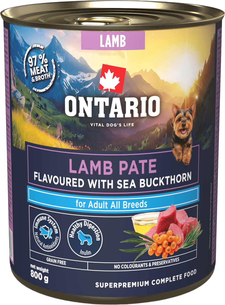 Konzerva Ontario Adult jehněčí pate s příchutí rakytníku 800g