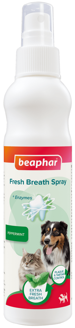 Sprej Fresh Breath 150ml