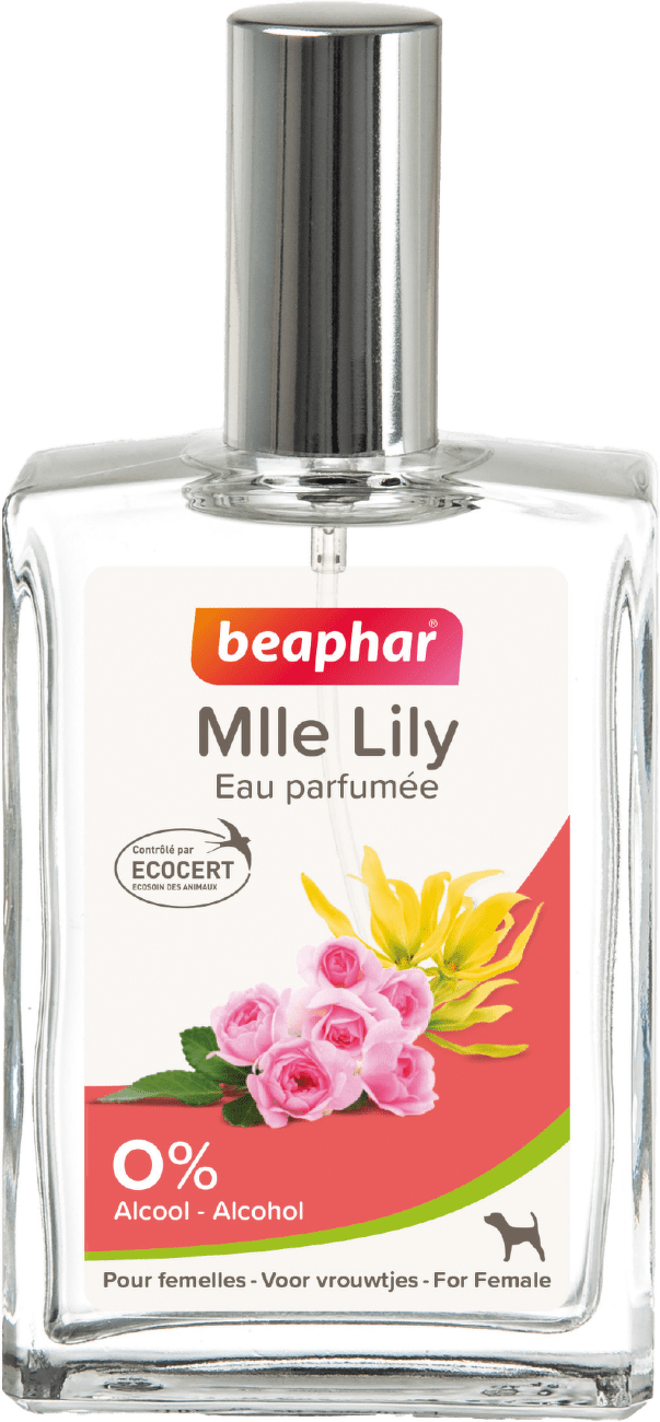Beaphar Parfém pre fenky ruže, ylan yland, jazmín a broskyňa 50 ml