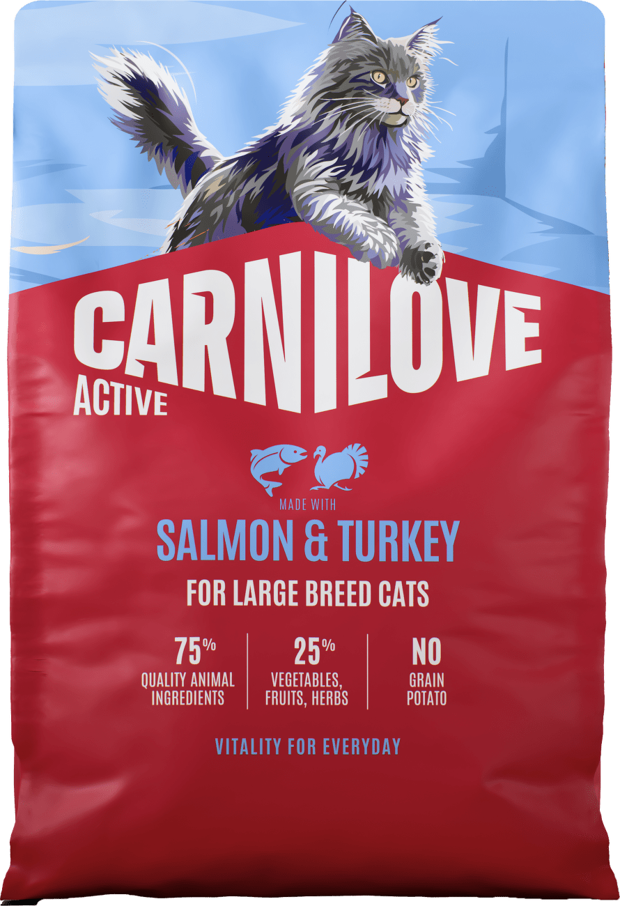 Granule CARNILOVE Active pro kočky velkých plemen losos a krůta 2 kg
