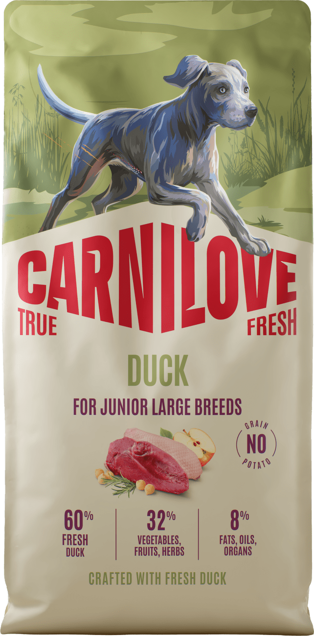 Granule CARNILOVE True Fresh pro mladé psy velkých plemen kachna 12 kg