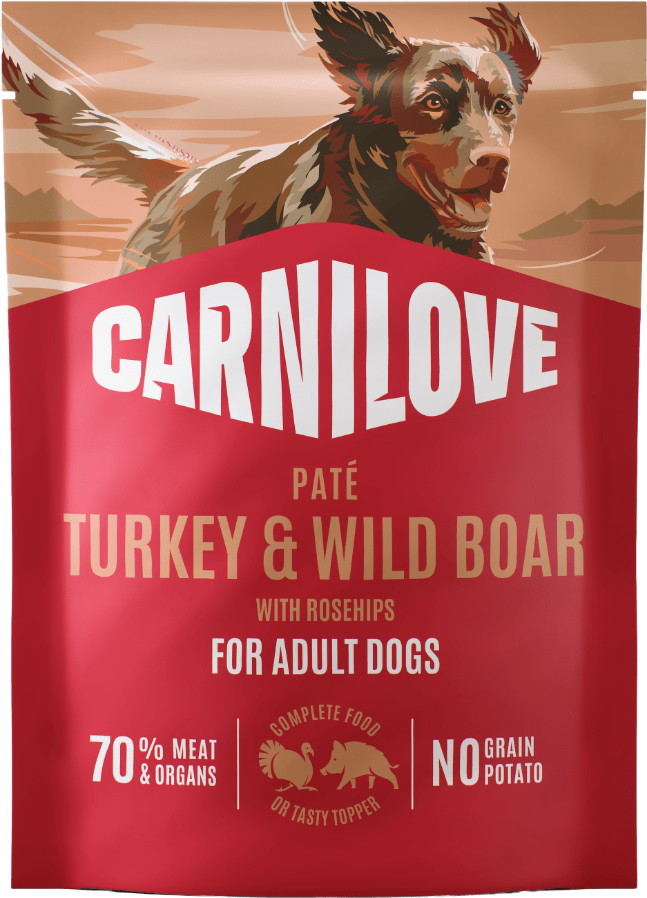 Kapsička CARNILOVE Paté pro dospělé psy krůta a divočák se šípky 300 g