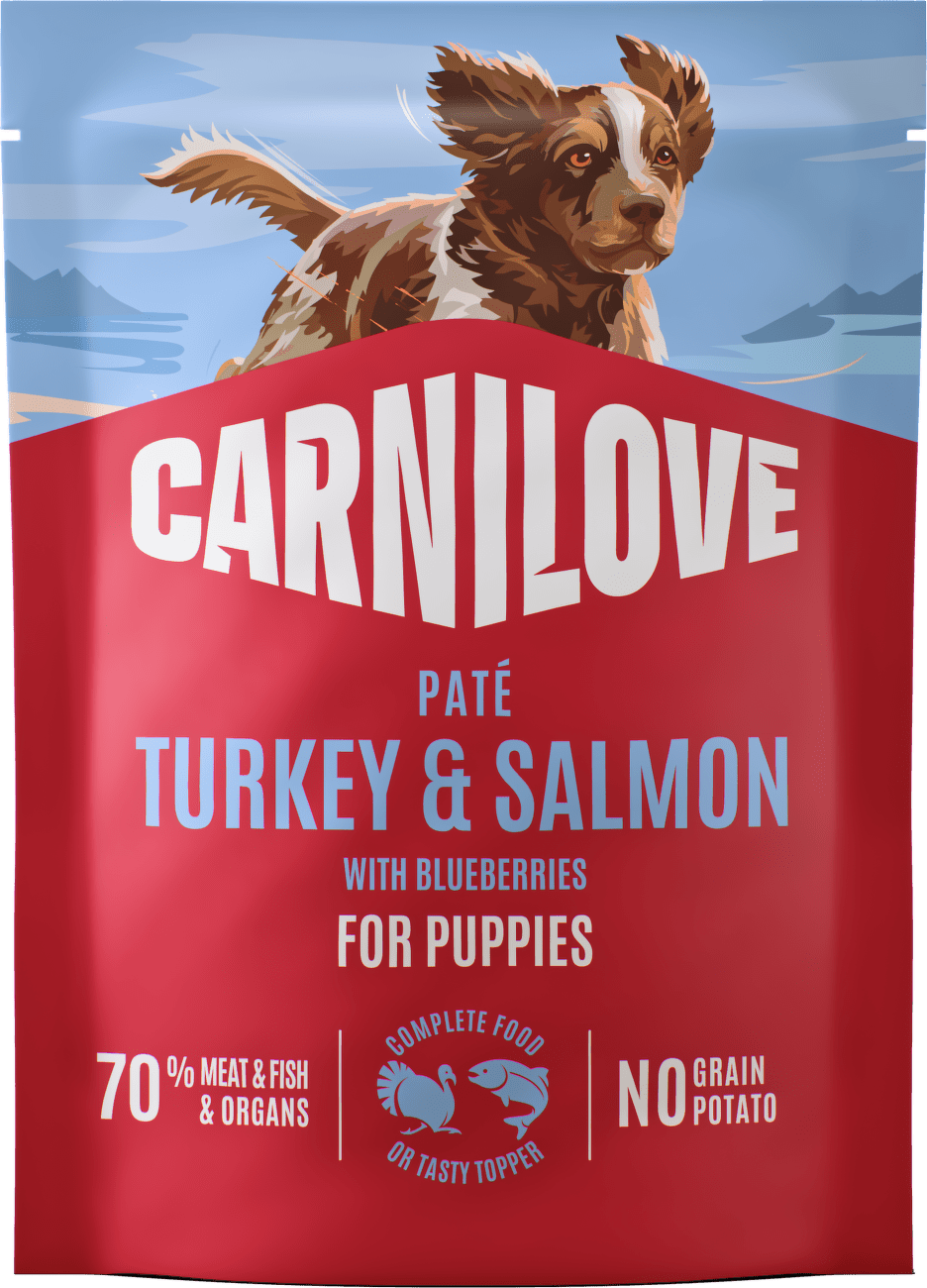 Kapsička CARNILOVE Paté pro štěňata krůta a losos s borůvkami 300 g