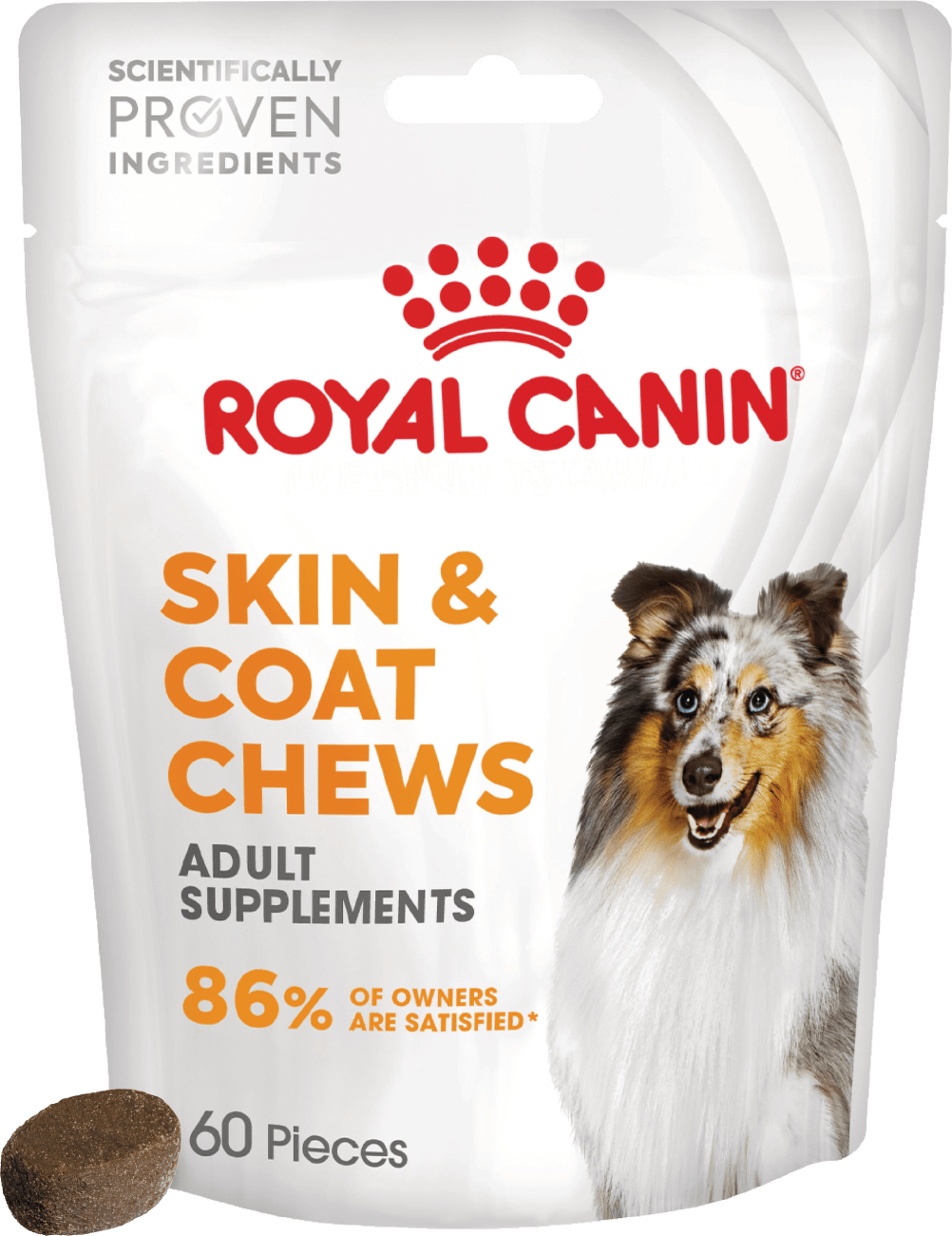 Pochúťka Royal Canin Skin & Coat pre psy 240 g