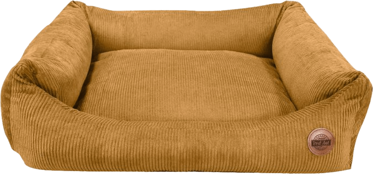 Pelech RedAnt Cord XL hořčicový