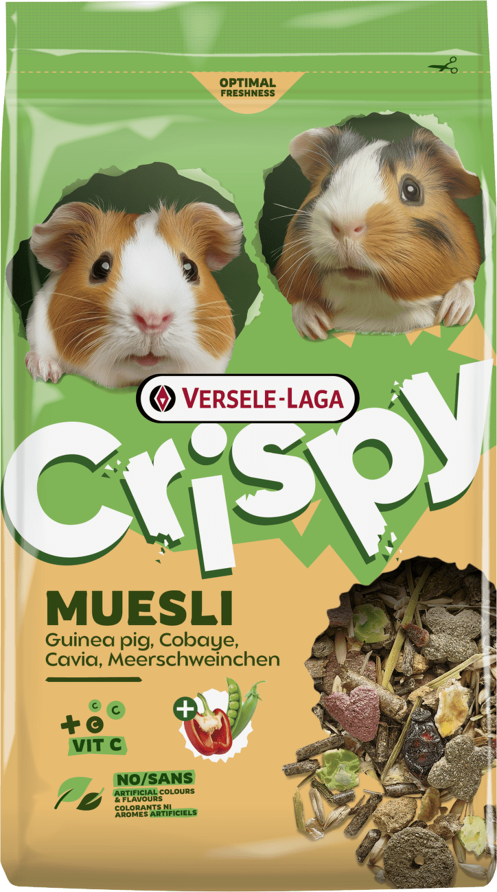 Krmivo Versele-Laga Crispy Muesli Guinea Pigs pro morčata 850 g