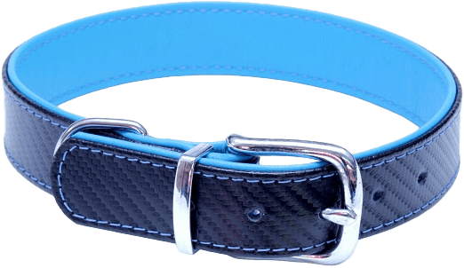 Kožený obojok BaF Carbon 59cm tyrkysový