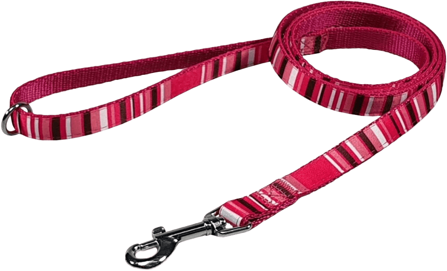 Vodítko BaF nylon proužky růžové 2,5x150cm