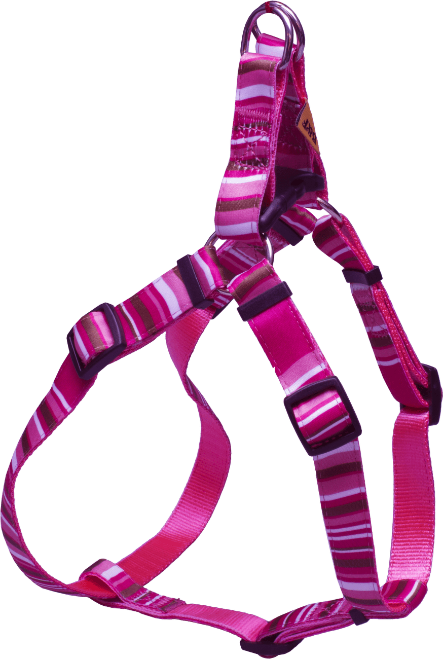 Postroj BaF nylon proužky růžový 1,5x32-46cm