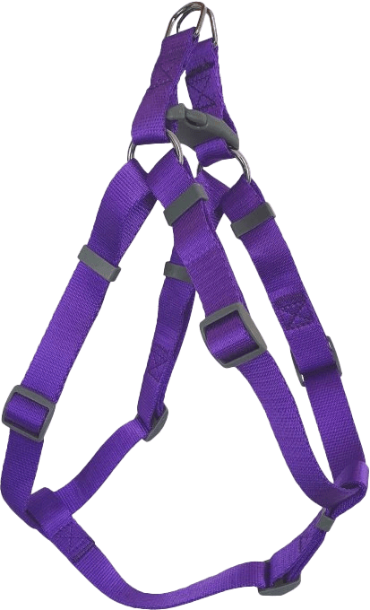 Postroj BaF nylon fialový 2,5x58-90cm