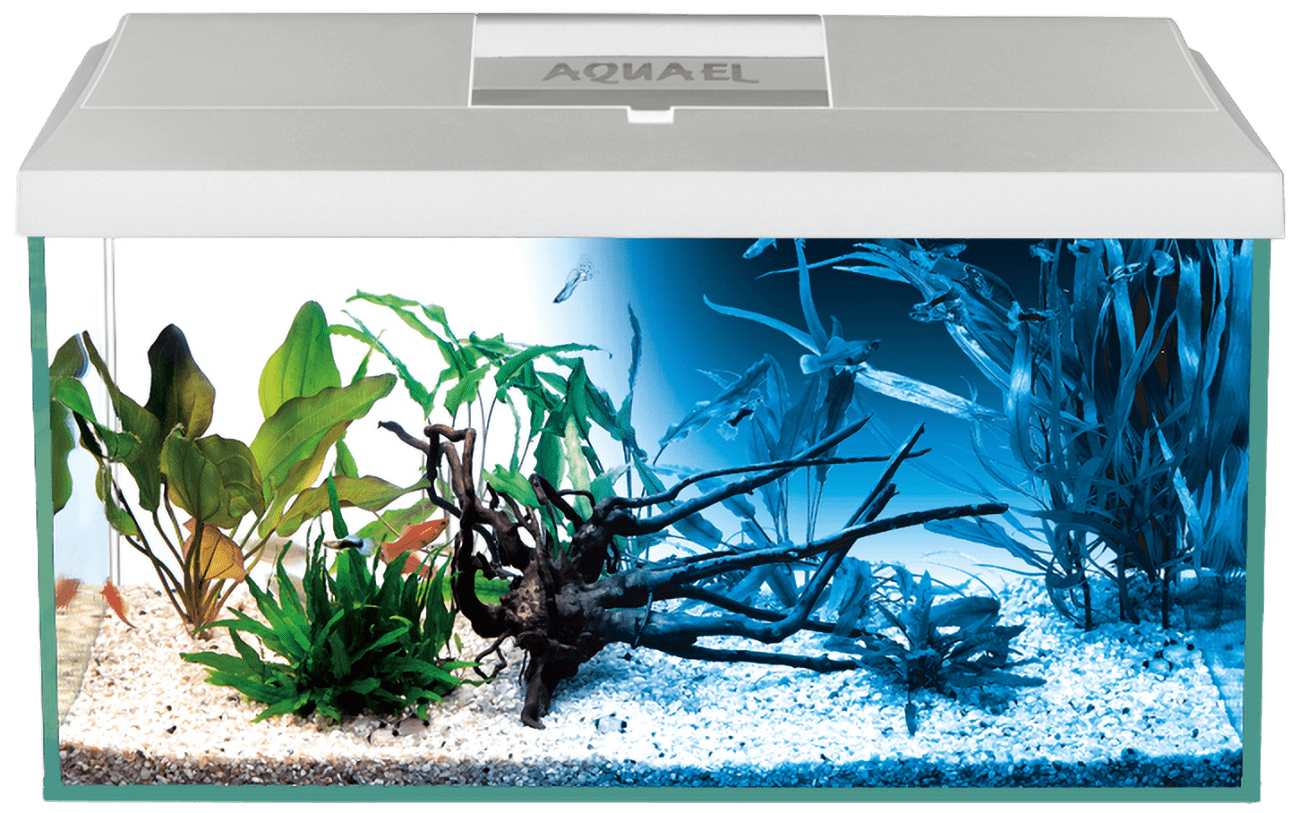 AQUAEL Akvarium set LEDDY LED DN 60x30x30cm, 54l biele