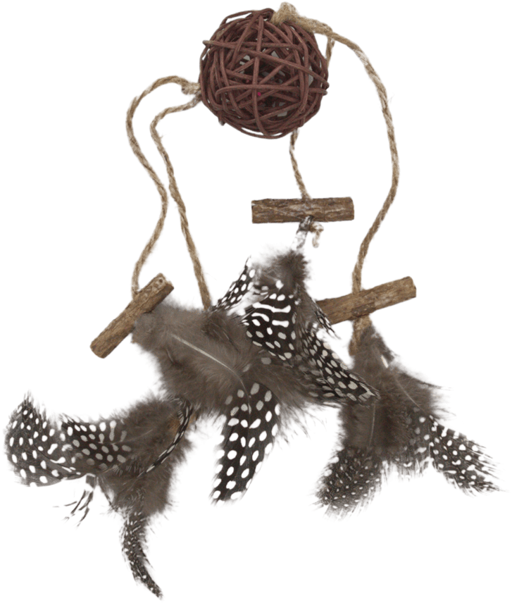 Hračka Have a Pet Matatabi lapač snů