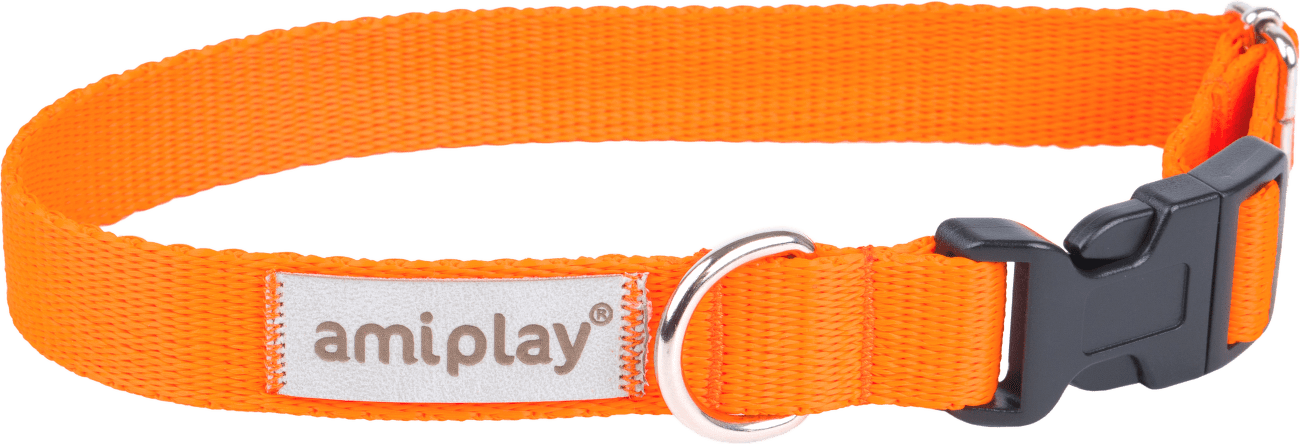 Obojek pro psy Amiplay Samba nastavitelný oranžový XL 45–70 cm × 2,5 cm