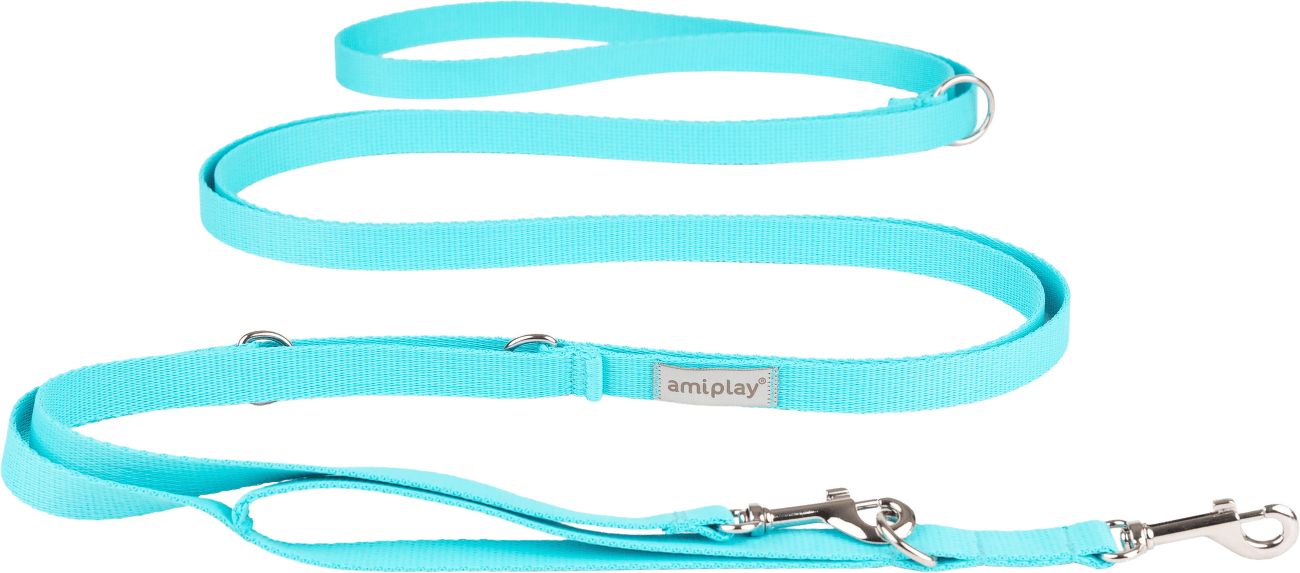 Vodítko pro psy Amiplay Samba 8v1 nastavitelné modré L 200–400 cm × 2,5 cm