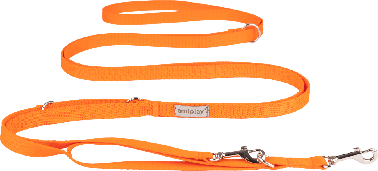 Vodítko pro psy Amiplay Samba 8v1 nastavitelné oranžové L 200–400 cm × 2,5 cm