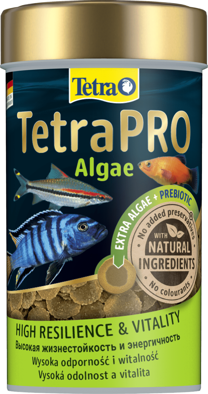 TETRA Pro Algae 100ml