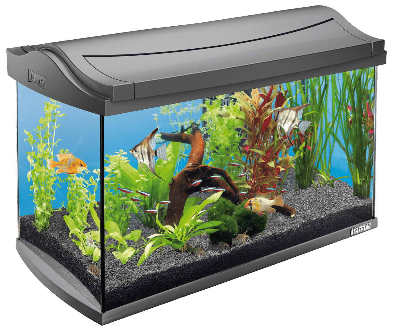 Akvárium Tetra AquaArt 60l