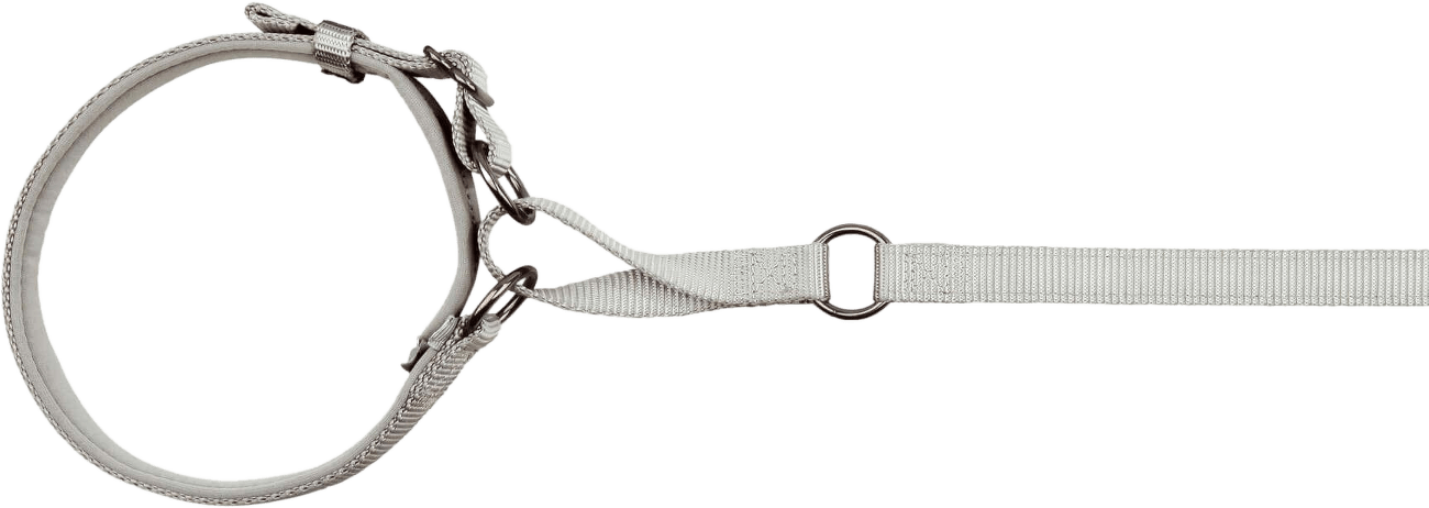 Trixie Vodítko s obojkom 1,2m/48cm strieborné