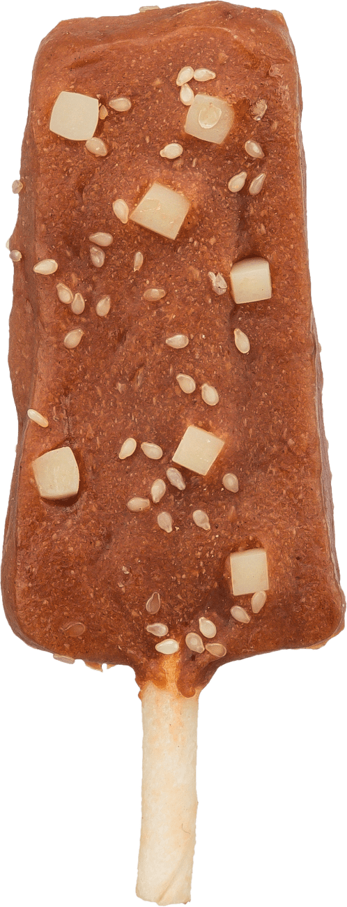Pochoutka Trixie Denta Fun Ice Pop žvýkací nanuk 12 cm