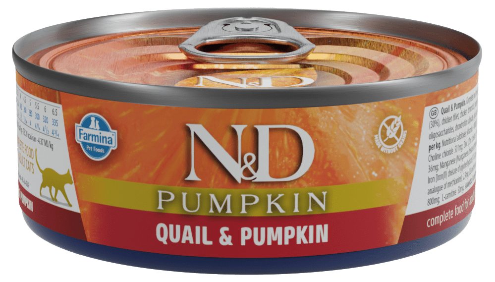 Konzerva N&D Cat Pumpkin Quail 70g