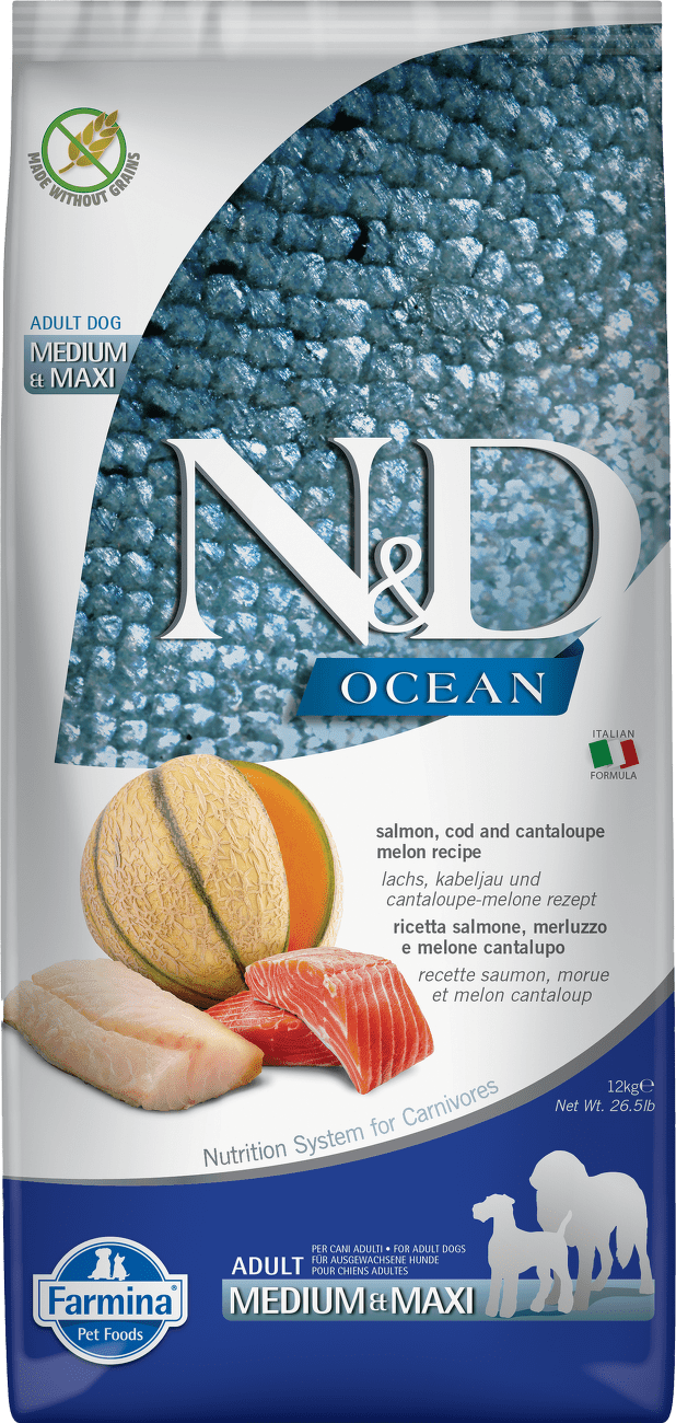 ND Dog GF Ocean Adult losos treska a melón 12 kg