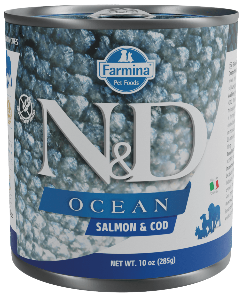Konzerva N&D Ocean Dog Adult Salmon&Codfish 285g