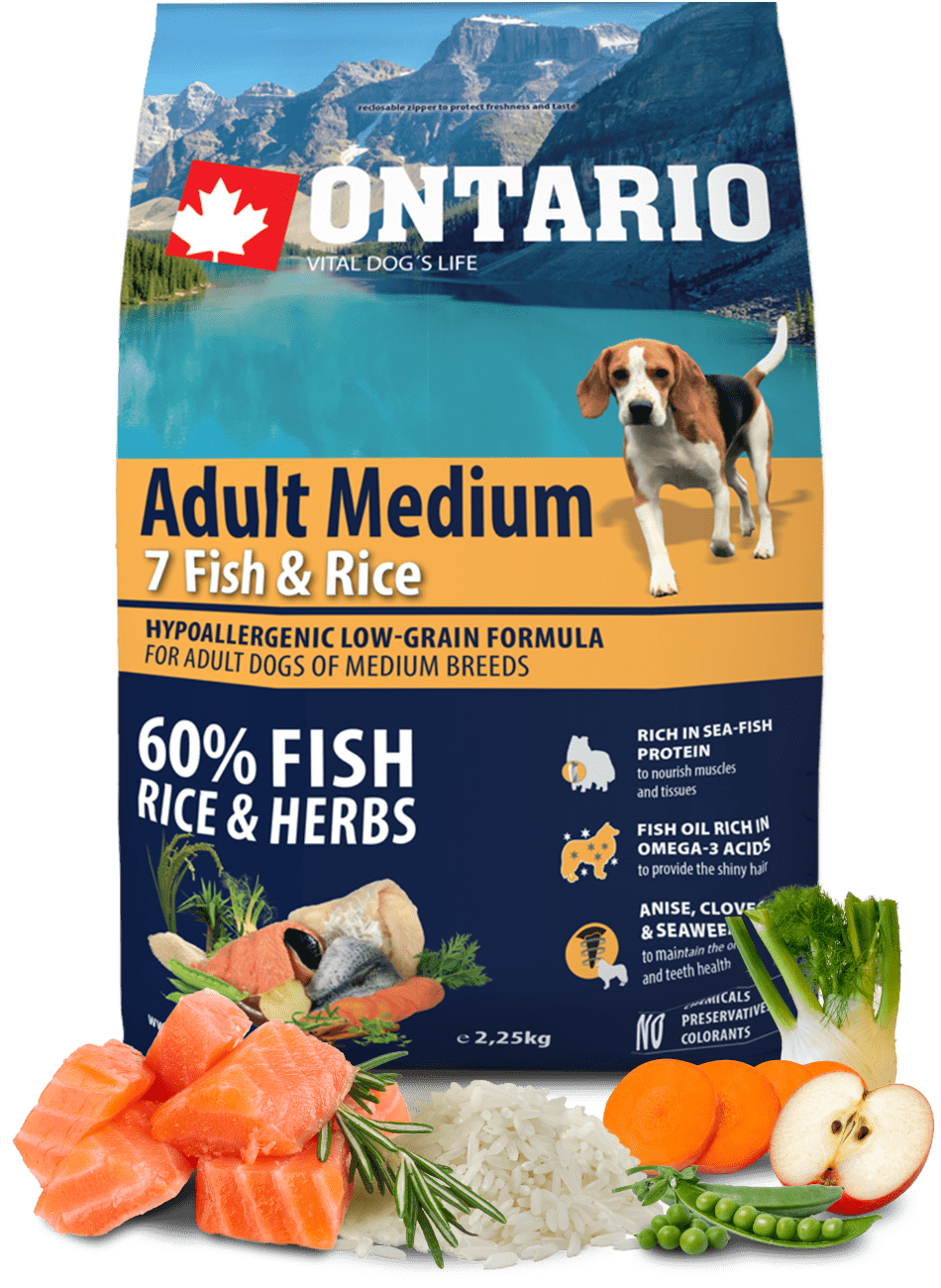 Ontario Adult Medium Fish & Rice 2,25 kg