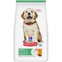 Hill´s Science Plan Canine Puppy Large Breed Chicken 14,5kg