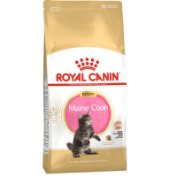 Barība kaķēniem – Royal Canin Maine Coon Kitten, 10 kg