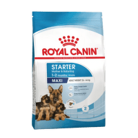Royal Canin Maxi Starter 4 kg