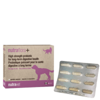Пищевая добавка для собак и кошек – Nutravet Nutraflora N12