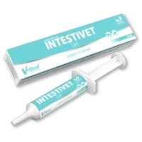 Пищевая добавка для собак и кошек – Vetfood Intestivet Gel, 15 мл