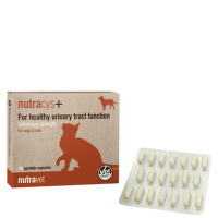 Papildbarība suņiem un kaķiem – Nutravet Nutracys+ N20