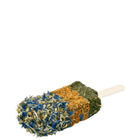 Лакомство для грызунов – JR FARM Crispy Ice-Cream, 45 г