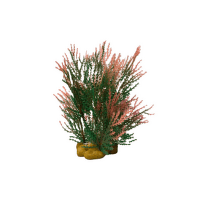 Декоративное растение для аквариума – Aquatic Grass, Red/Green, 15 см