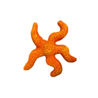 Декор для аквариума – Starfish Assortment
