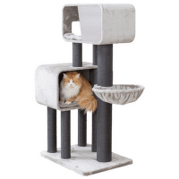 Mājiņa kaķiem – TRIXIE Rafael Scratching Post XXL, 156 cm, grey