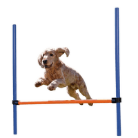 Adžiliti šķērslis suņiem – TRIXIE Dog Activity Agility Hurdle, 123 x 115 cm, Blue/Orange