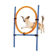 Adžiliti riņķis suņiem – TRIXIE Dog Activity Agility Ring, 115 cm, Blue/Orange