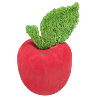 Rotaļlieta grauzējiem – Trixie, Apple, wood and loofah, 5,5 x 9 cm