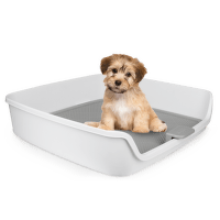 Tualete kucēniem – AFP Go Fresh Dog Pee Pad Holder, 63 x 63 x 15 cm