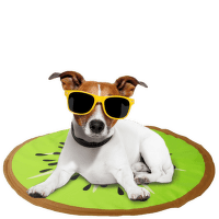 Охлаждающий коврик для животных – AFP, Chill Out Cooling Mat, Kiwi, 60 х 0,8 см