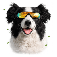 Brýle M-Pets Sunbather pro psy