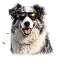 Brýle M-Pets Trailblazer pro psy