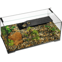 Terárium Exo Terra Turtle Haven pre vodné korytnačky