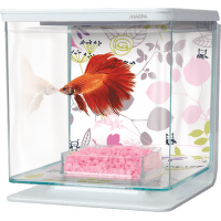 Akvárium MARINA Betta Kit Floral 2l