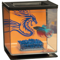 Marina Betta Kit Boy