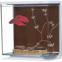 Akvárium MARINA Betta Kit Contemporary 3l