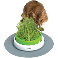 Catit miska na trávu pre mačky Catit Senses 2.0 Grass Planter